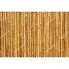 Bambuk 17604