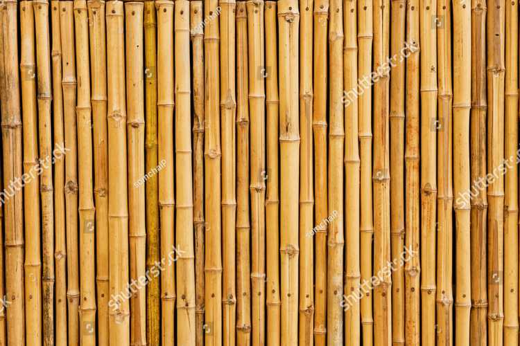Bambuk 17604