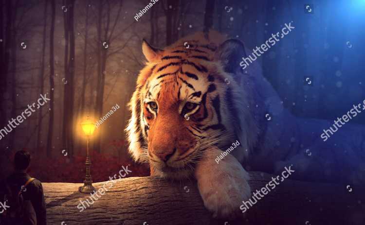 Tigry 7339