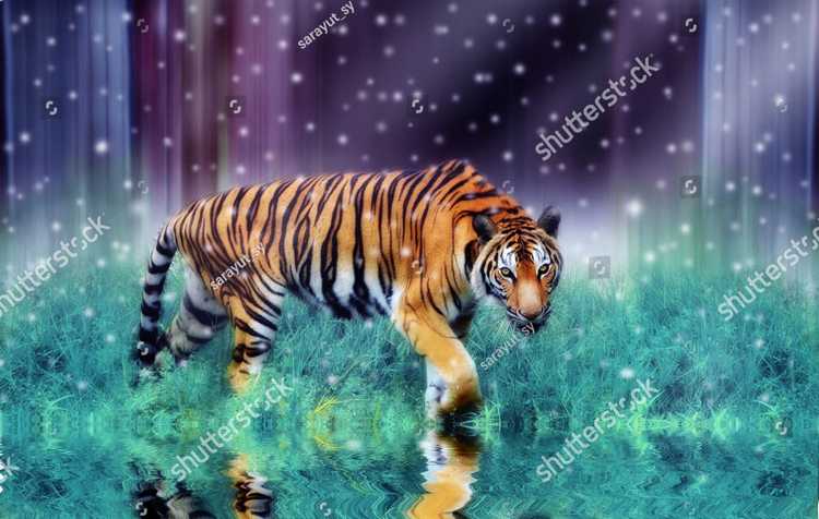 Tigry 7348